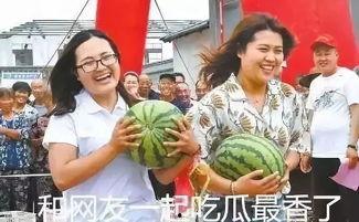 明月吃瓜娱乐,揭秘娱乐圈幕后故事